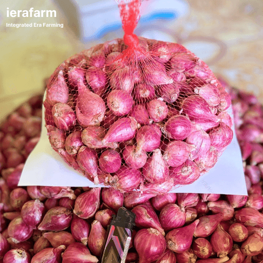Bawang merah Brebes