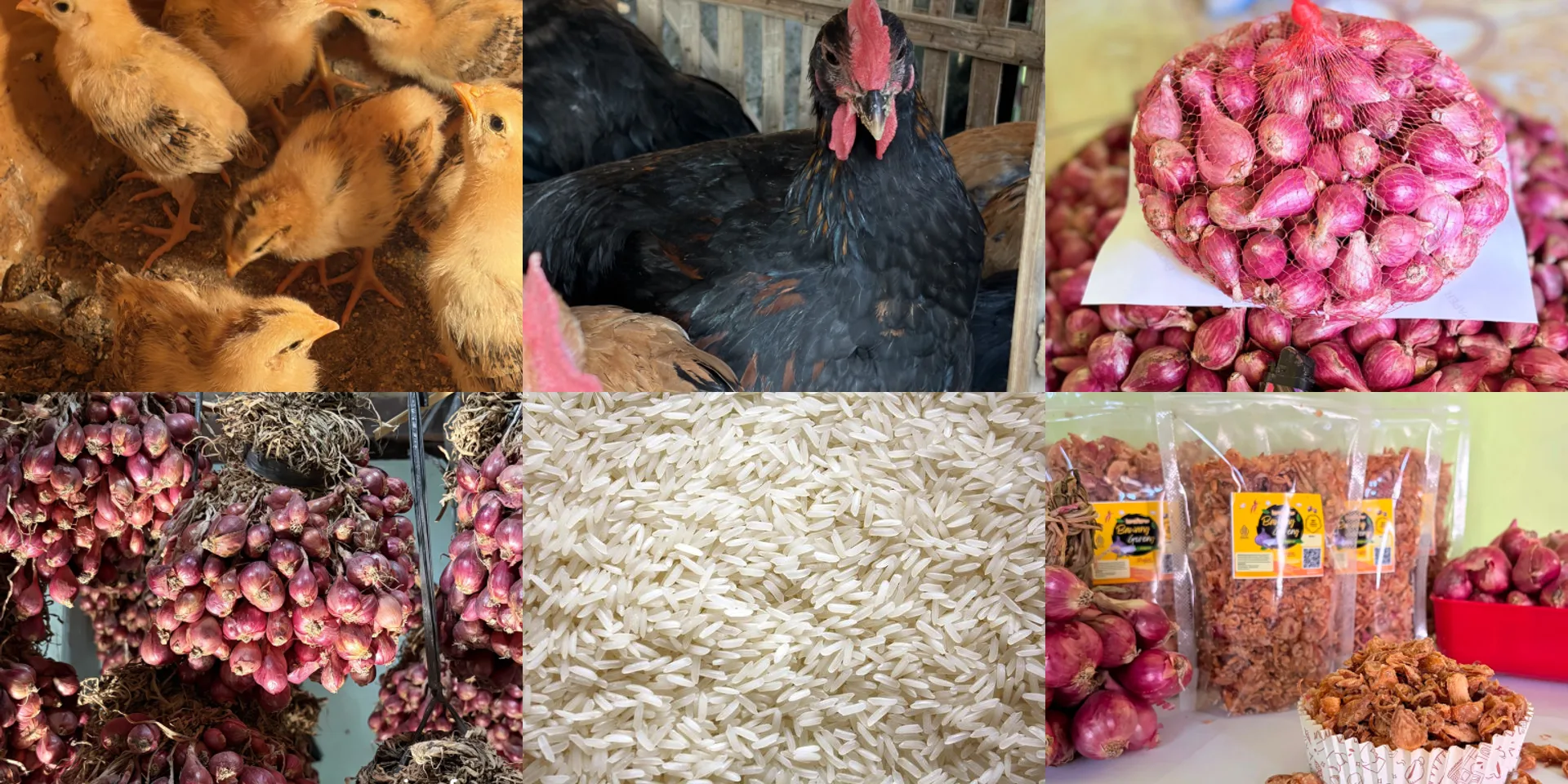 Komoditas ierafarm: bibit ayam, ayam kampung, bawang merah Brebes, beras, dan bawang goreng